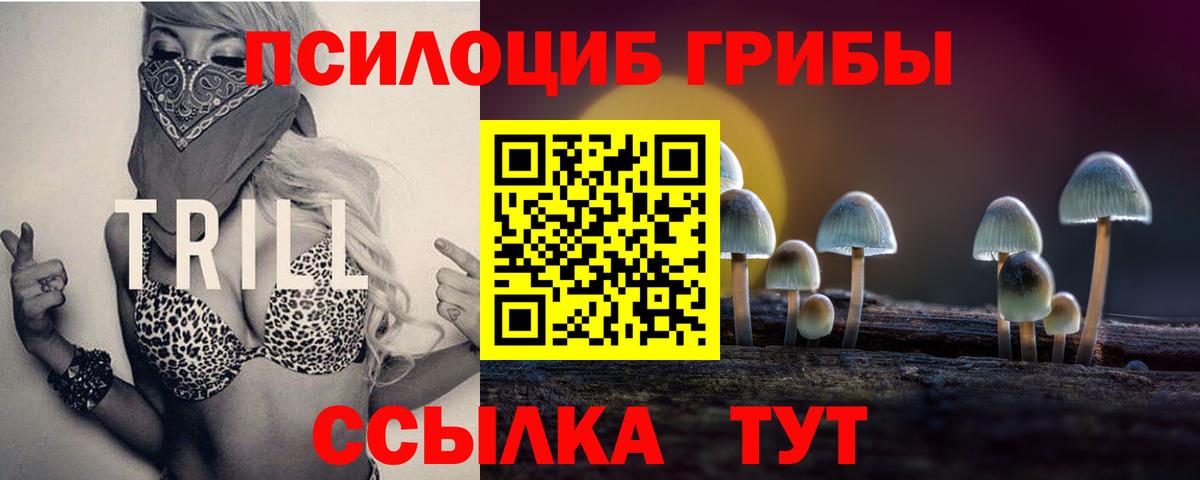 Галлюциногенные грибы GOLDEN TEACHER Похвистнево